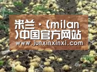 种植基地八(图1)