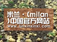 种植基地七