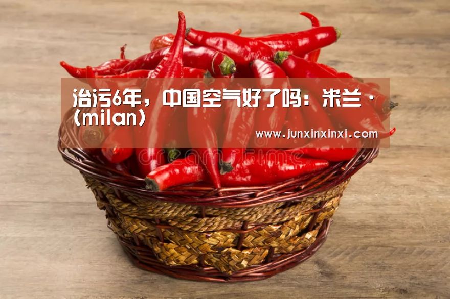 治污6年,中国空气好了吗:米兰·(milan)(图1) 米兰·(milan)