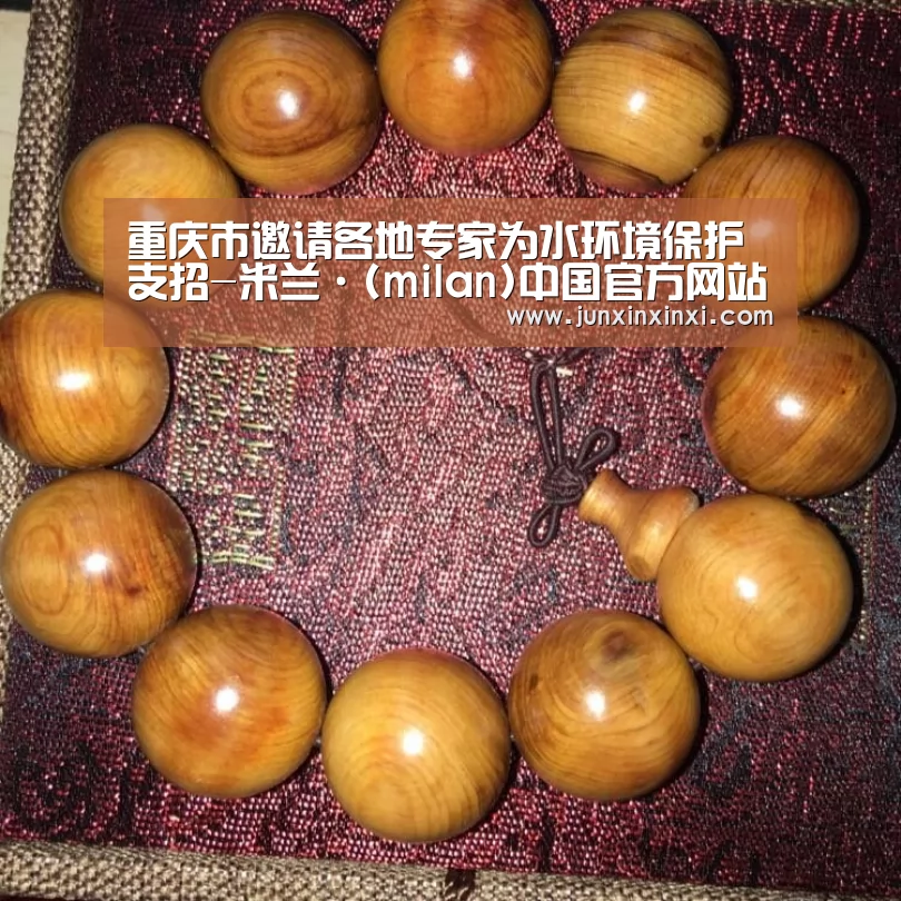 重庆市邀请各地专家为水环境保护支招-米兰·(milan)中国官方网站(图2) 米兰