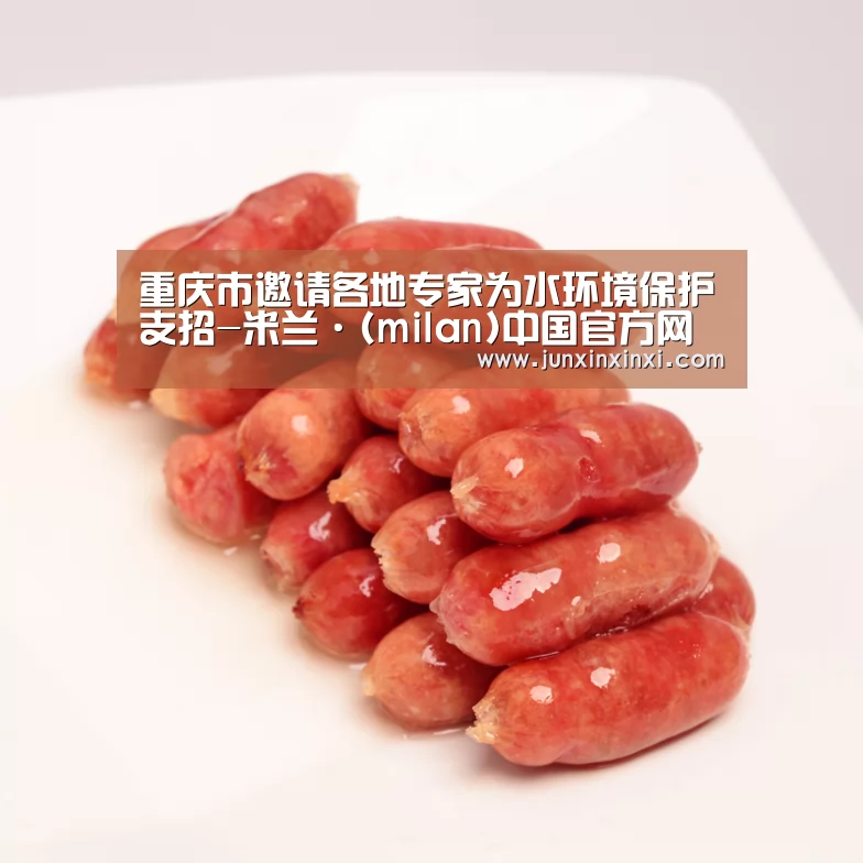 重庆市邀请各地专家为水环境保护支招-米兰·(milan)中国官方网站(图3) 米兰·(milan)