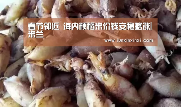 春节邻近 海内粳稻米价钱安稳略涨|米兰(图1)