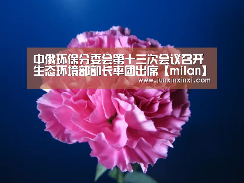 中俄环保分委会第十三次会议召开 生态环境部部长率团出席【milan】(图1) 米兰