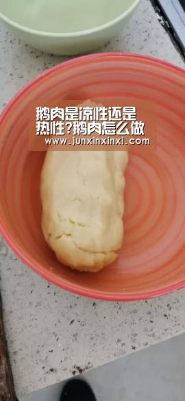 鹅肉是凉性还是热性?鹅肉怎么做好吃?“milan”(图1) 米兰