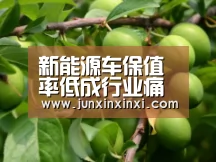 新能源车保值率低成行业痛点 车企推翻新方案_米兰(图1) 米兰·(milan)中国官方网站