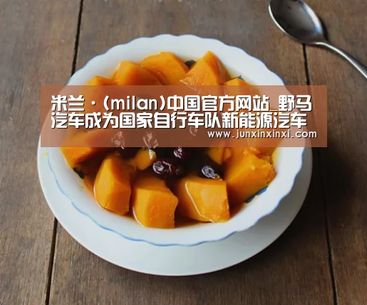 米兰·(milan)中国官方网站