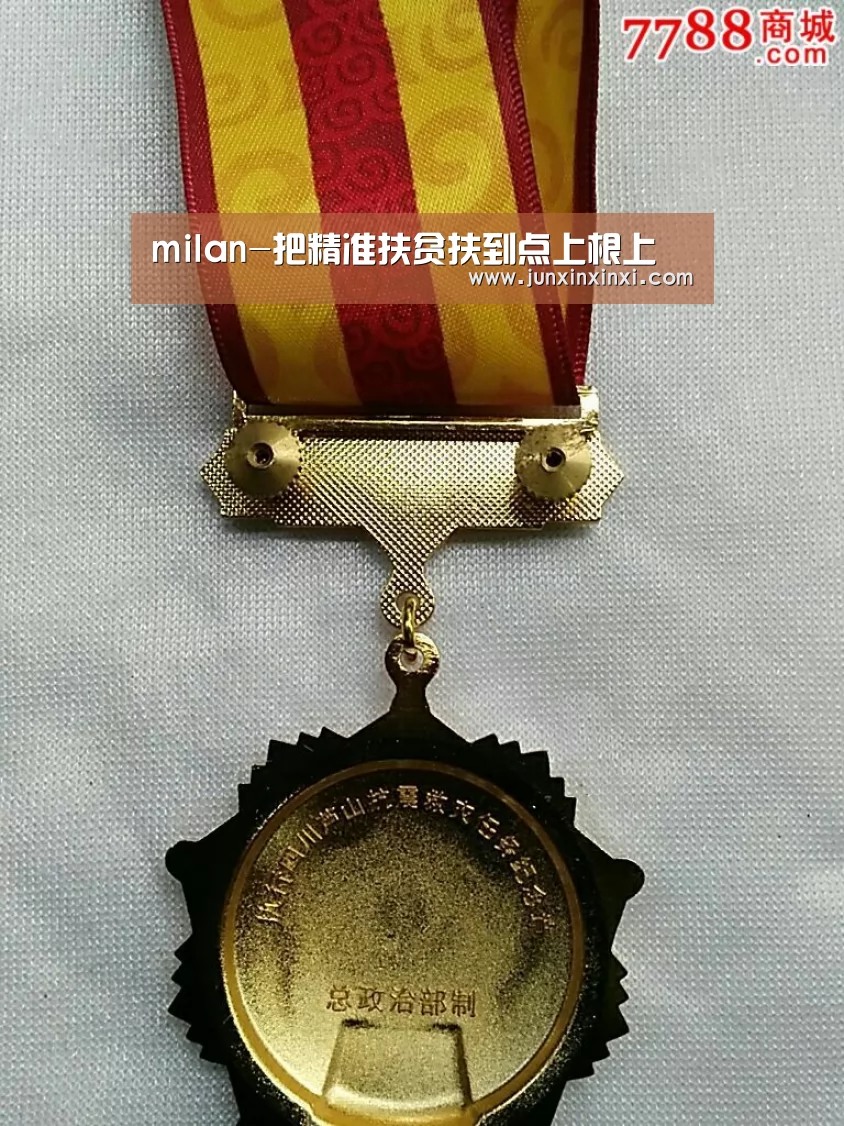 milan-把精准扶贫扶到点上根上(图2) 米兰·(milan)