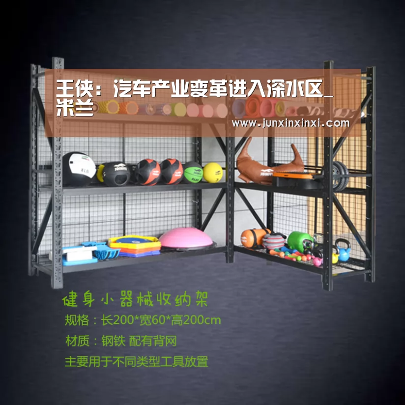 王侠:汽车产业变革进入深水区_米兰(图2) 米兰·(milan)中国官方网站