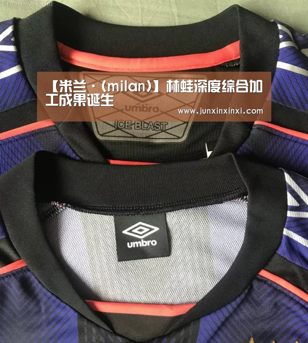 米兰·(milan)