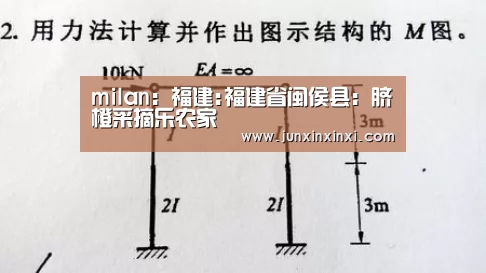 milan:福建:福建省闽侯县:脐橙采摘乐农家(图3) 米兰