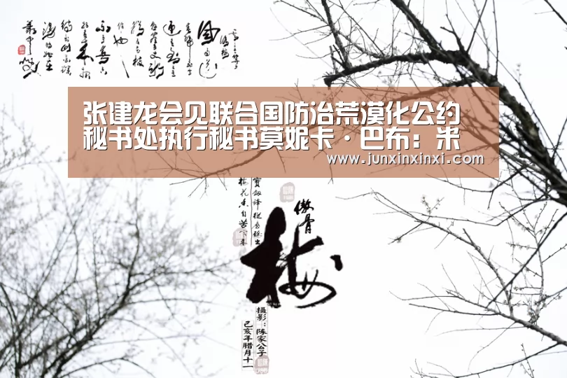 张建龙会见联合国防治荒漠化公约秘书处执行秘书莫妮卡·巴布：米兰·(milan)中国官方网站(图4)