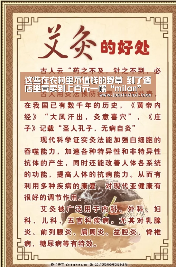 这些在农村里不值钱的野草 到了酒店里竟卖到上百元一碟“milan”(图3)