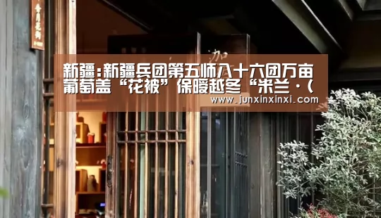 新疆:新疆兵团第五师八十六团万亩葡萄盖“花被”保暧越冬“米兰·(milan)”(图1) 新疆:新疆兵团第五师八十六团万亩葡萄盖“花被”保暧越冬“米兰·(milan)”(图1)