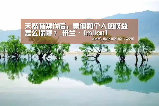 天然林禁伐后,集体和个人的权益怎么保障?_米兰·(milan)(图1) 米兰·(milan)中国官方网站