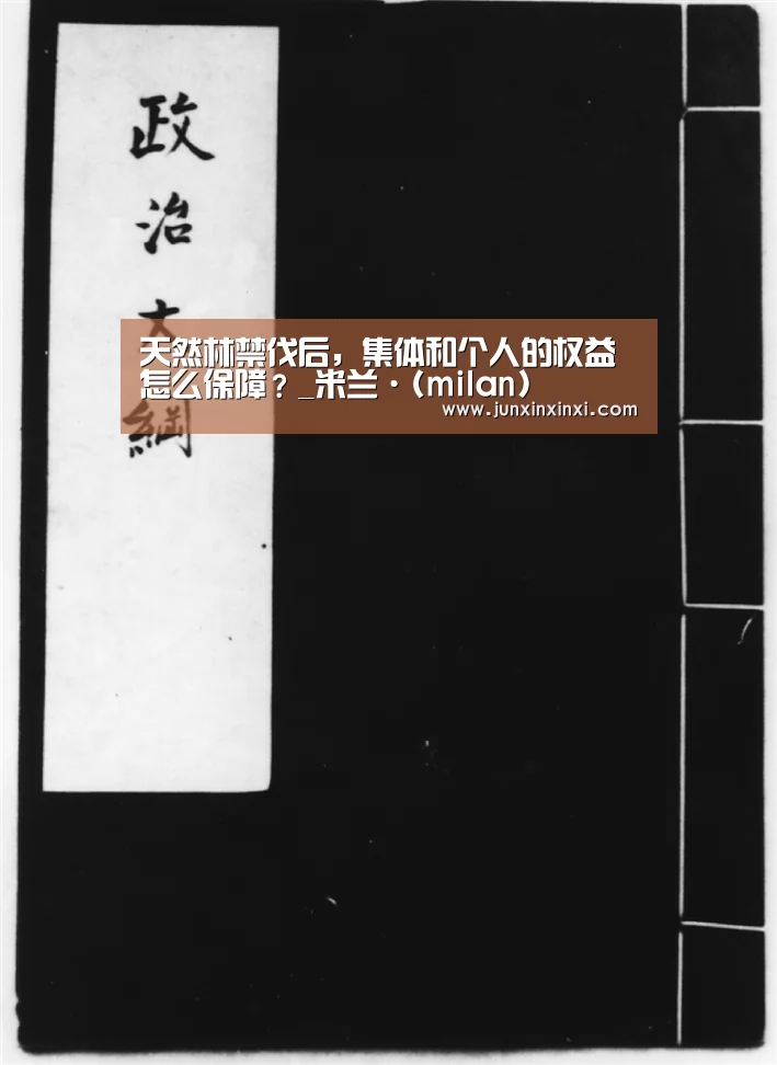 天然林禁伐后,集体和个人的权益怎么保障?_米兰·(milan)(图2) 米兰·(milan)中国官方网站
