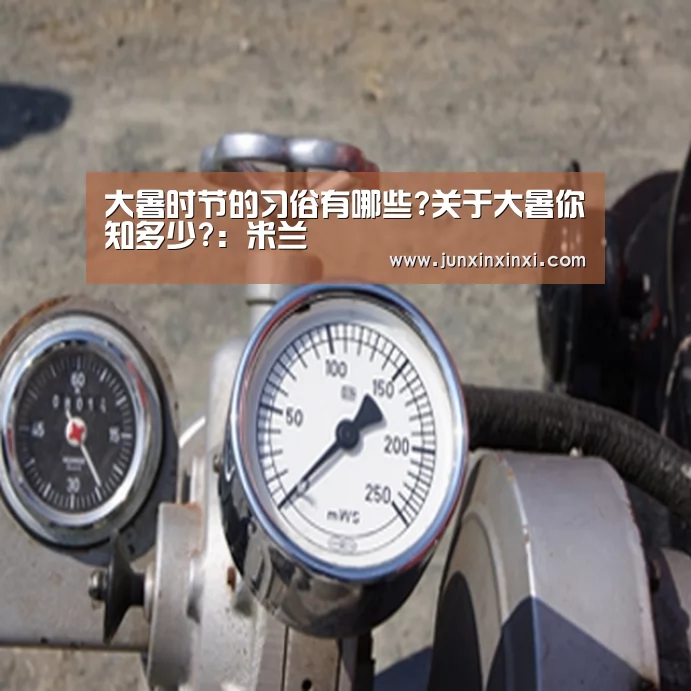 大暑时节的习俗有哪些?关于大暑你知多少?:米兰(图1) 大暑时节的习俗有哪些?关于大暑你知多少?:米兰(图1)