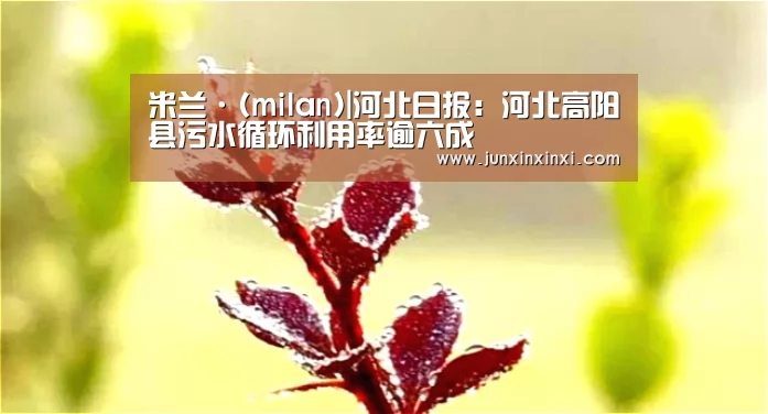 米兰·(milan)