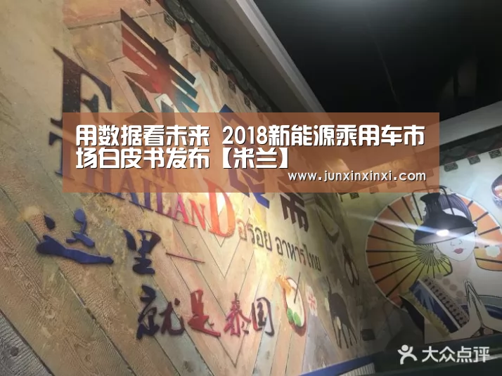 用数据看未来 2018新能源乘用车市场白皮书发布【米兰】(图1) 米兰·(milan)中国官方网站