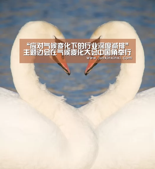“应对气候变化下的行业深度减排”主题边会在气候变化大会中国角举行‘米兰·(milan)中国官方网站’(图2) “应对气候变化下的行业深度减排”主题边会在气候变化大会中国角举行‘米兰·(milan)中国官方网站’(图2)