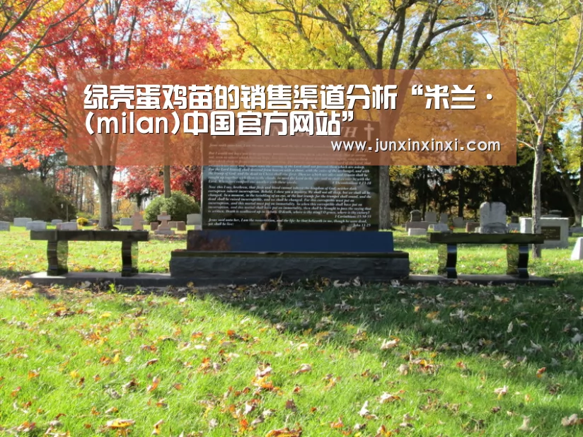 绿壳蛋鸡苗的销售渠道分析“米兰·(milan)中国官方网站”(图1) 绿壳蛋鸡苗的销售渠道分析“米兰·(milan)中国官方网站”(图1)