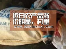 近日农产品涨价明显,村里滞销的为何不运到城里便宜卖?|米兰(图3) 米兰·(milan)