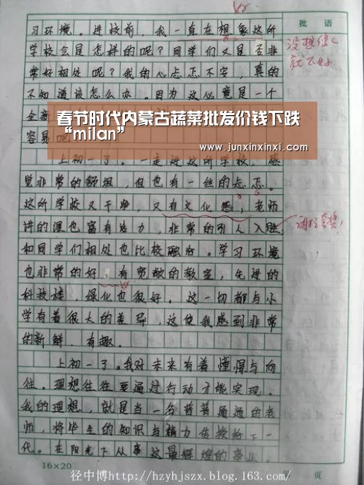 春节时代内蒙古蔬菜批发价钱下跌“milan”(图3) 米兰