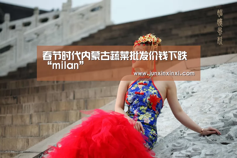 春节时代内蒙古蔬菜批发价钱下跌“milan”(图2) 米兰·(milan)