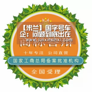 【米兰】国字号车企:问题到底出在哪儿?(图3) 【米兰】国字号车企:问题到底出在哪儿?(图3)