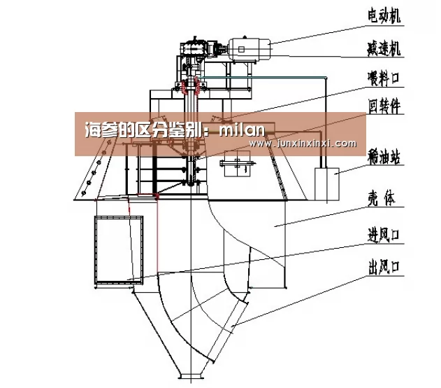 海参的区分鉴别:milan(图1) 米兰·(milan)