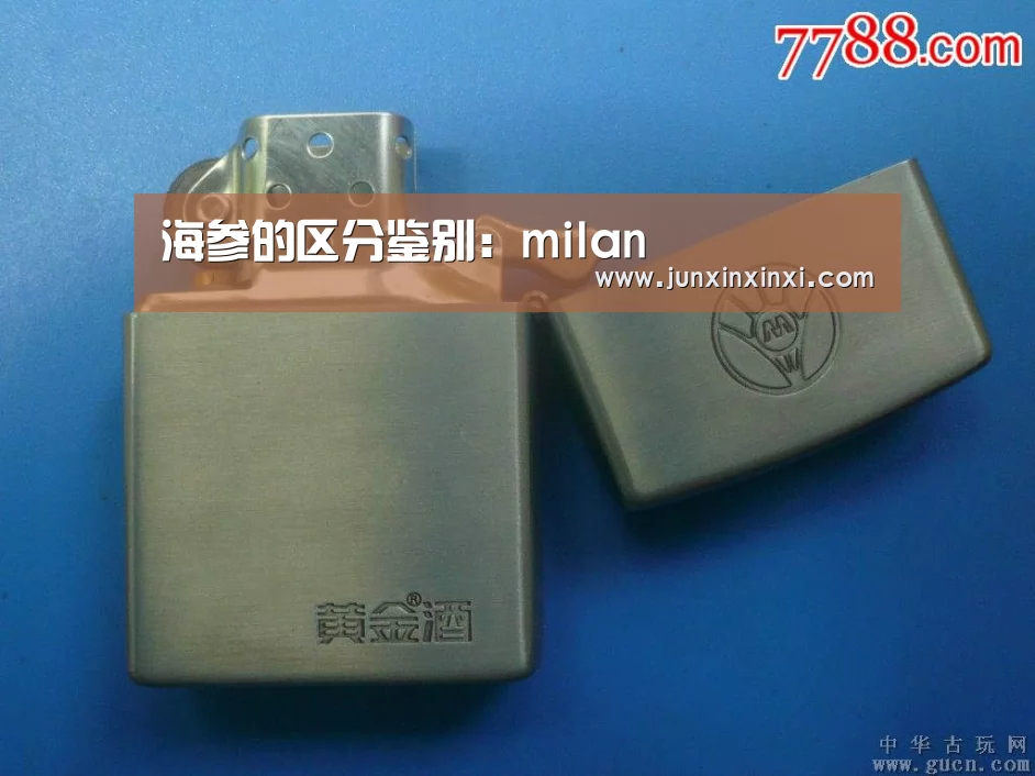 海参的区分鉴别:milan(图3) 米兰·(milan)