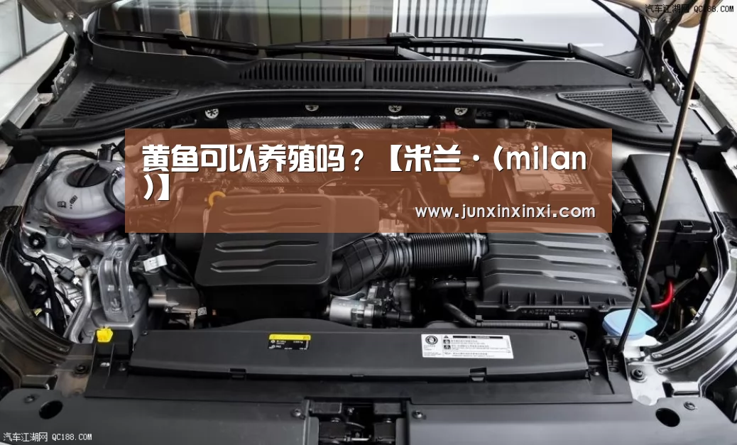 黄鱼可以养殖吗?【米兰·(milan)】(图3) 黄鱼可以养殖吗?【米兰·(milan)】(图3)