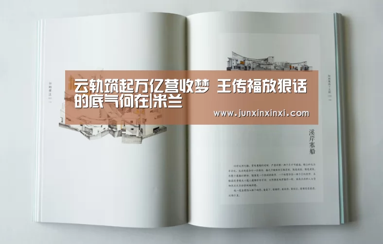 云轨筑起万亿营收梦 王传福放狠话的底气何在|米兰(图4) 米兰·(milan)中国官方网站