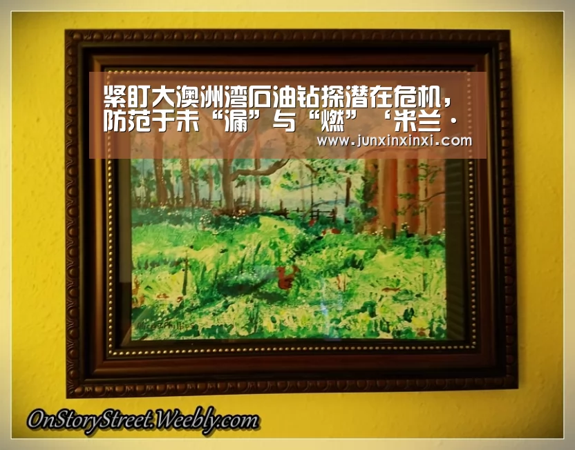 紧盯大澳洲湾石油钻探潜在危机，防范于未“漏”与“燃”‘米兰·(milan)’(图2)